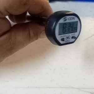5 Inch Digital Thermometer